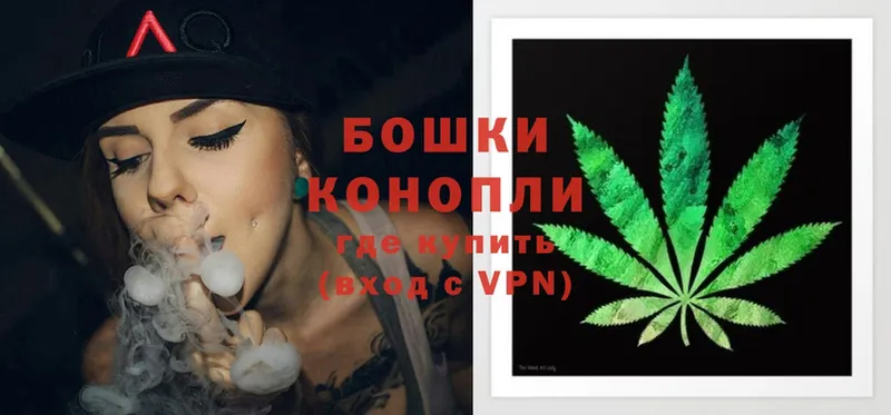 Бошки марихуана THC 21%  где купить наркоту  Михайловск 